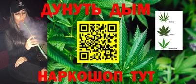 гидра Апрелевка