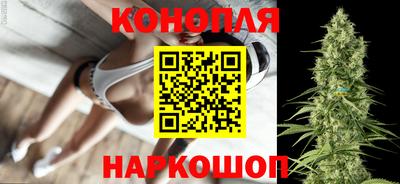 СК Дубна