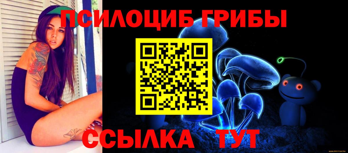 Галлюциногенные грибы мицелий Будённовск