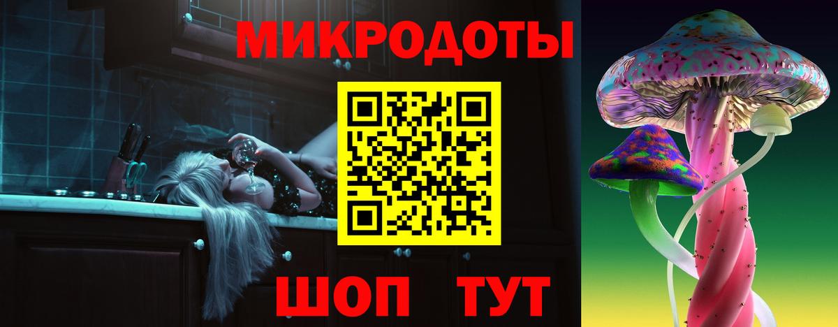 Будённовск  Галлюциногенные грибы Psilocybine cubensis  Вход с VPN 